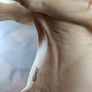 Royal Doulton Charolais Bull Image 3
