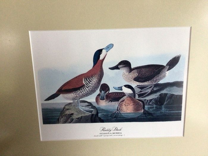 4 large wildfowl prints Framed