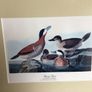 4 large wildfowl prints Framed Image 5