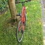 bike Image 5