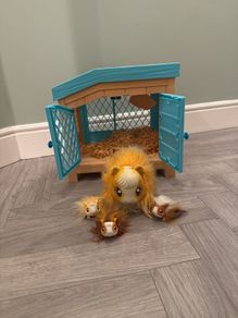 Little live pets mama surprise guinea pigs
