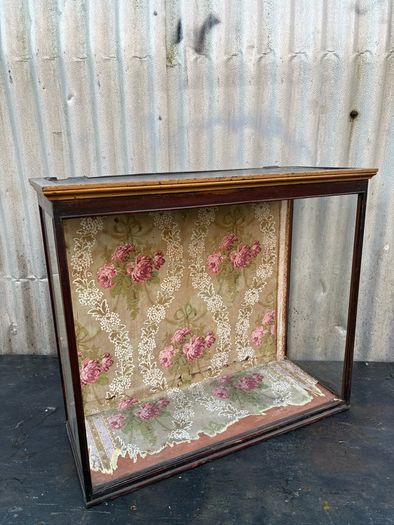 Antique Victorian glass taxadermy display case, needs some resto. c1880