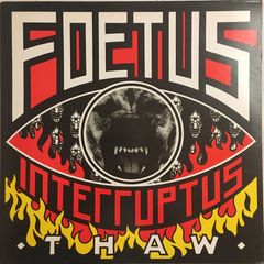 Foetus - Thaw