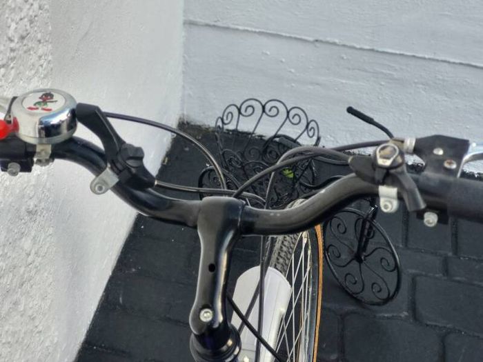 Ladies Vintage Raleigh Pioneer In Great Condition No Timewasters Please