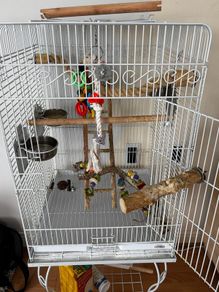 Large Bird Cage
