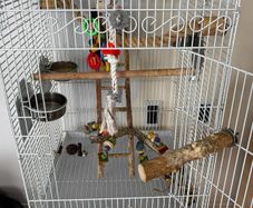 Large Bird Cage