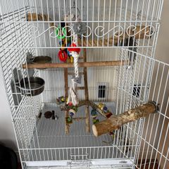Large Bird Cage