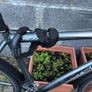Jupiter Tuscan hybrid bike with lock Image 3