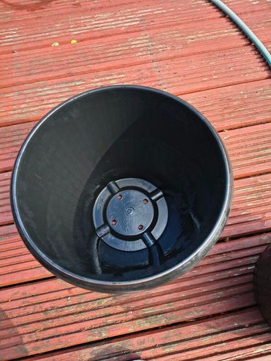 Five  Flower pots