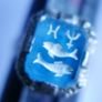 Vintage Sterling Silver 925 Zodiac Ring Signet 3,3g size P Image 7