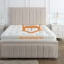 New Customizable Bed Image 5