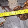 Vintage Mid-Century Ceramic American Bald Eagle Statue Image 7