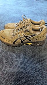 Asics Gel venture 6