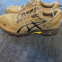 Asics Gel venture 6