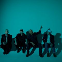 1 x pixies limerick