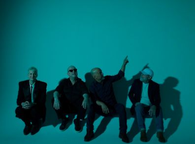 1 x pixies limerick