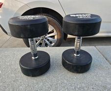 15kg round dumbell pair