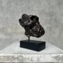 Gorilla Skull - Bronze Image 9