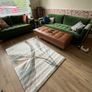 Area Rug Image 2