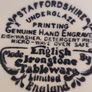 Staffordshire Underglaze Printing Genuine Hand Engraved Dishwasher. Detergent Pro Mi Image 5