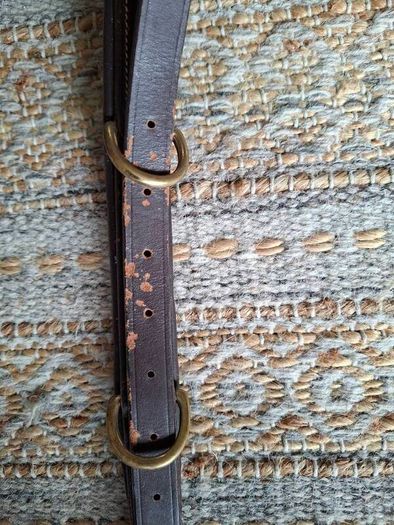 Breastplate 5 point.Shires