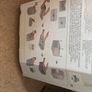 Stackable shoe storage Image 2