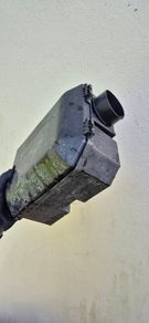 rodent boxes