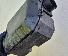 rodent boxes