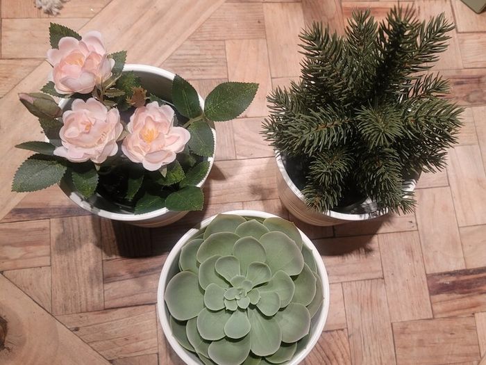 Artificial Plants in Matching Ceramic Plant Pots x3