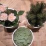 Artificial Plants in Matching Ceramic Plant Pots x3 Image 2