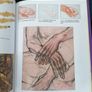 An Introduction to Drawing the Nude Image 8