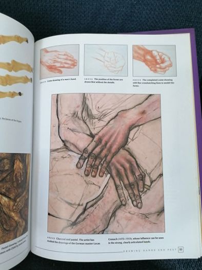 An Introduction to Drawing the Nude