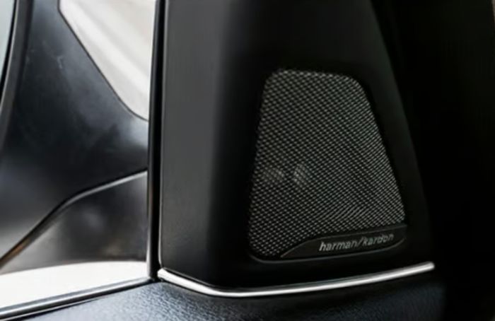 BMW F10 Speaker Gap Trim