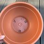 Shallow Planters Bundle Image 5