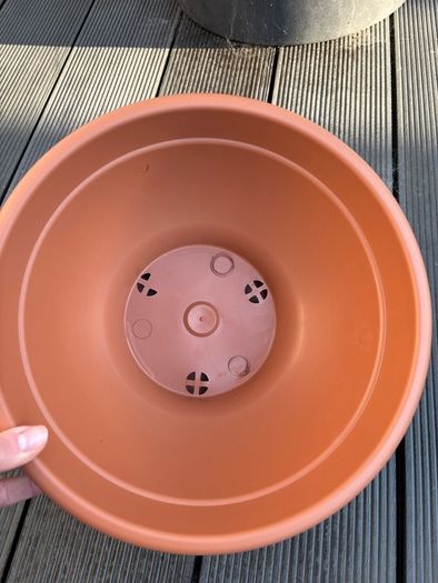Shallow Planters Bundle