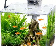 13L Starter Fish Tank Kit, 25  25  22CM Mini Plastic Aquarium with LED Light & USB Filter, DIY Aquascape for Small Betta Fish
