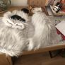 Grey wolf furry partial suit Image 2