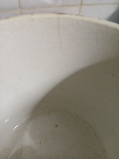 S. Maw Son and Sons White Mug