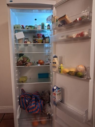 Zanussi fridge