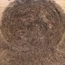 Round bales of hay Image 3