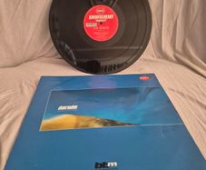 Darude,sandstorm 12" vinyl original 1999/00 neo pressing