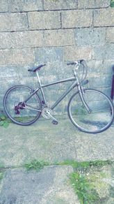 Giant mountain bike