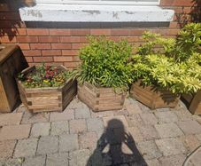 Planters