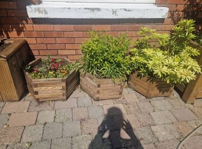 Planters
