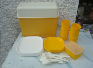 Vintage Keter 6 person Picnic Set in Carry Box