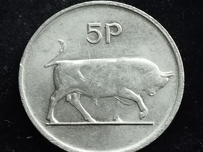 Ireland - 1982 - 5 Pence  - Bull - High Grade - KM.22 - [2023]