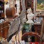 Vintage Taxidermy Grey Heron Image 2