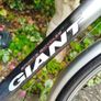 Giant Expression Hybrid Bicycle, fully working, Size Large Image 2