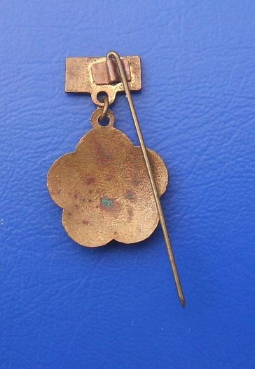 WORLD FESTIVAL OF YOUTH AND STUDENTS (Internationalism festival) - attendee's badge (c.1960's)