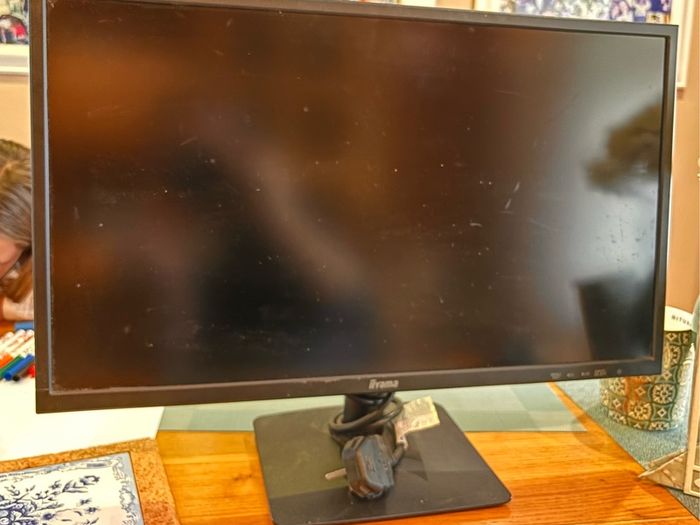 iiyama Pro Lite 24" monitor